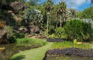 robert-burle-marx-day-trips-from-rio-de-janeiro-things-to-do-in-rio