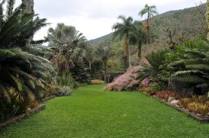 sitio-roberto-burle-marx-rio-2