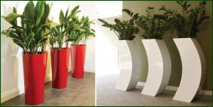 vasos-com-plantas-interiores